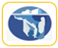 wiki