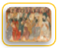 historyinarabic