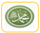 من هم آل البيت