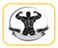 gymboo1st