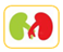 Urology