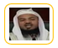 محمد بن محمد الشنقيطي