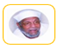 الشيخ محمد متولى الشعراوى