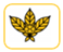 coffea
