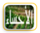 واحة الأحساء